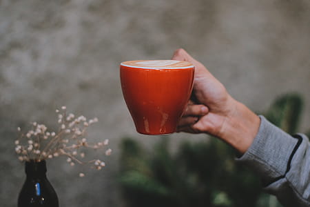Photo of Hand Holding Red Cup of Coffee thumbnail