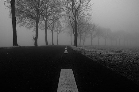 grayscale photo of foggy road thumbnail