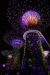 low angle view of lighted tree at night thumbnail