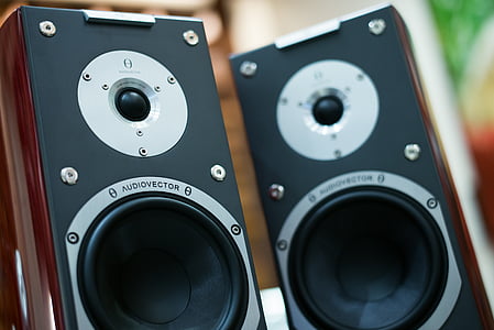 two brown-and-black speakers thumbnail