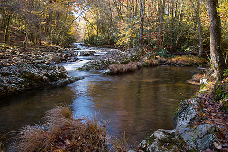 Creek, Smoky Mountain National Park thumbnail
