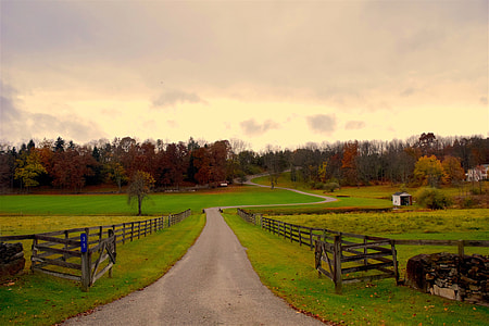 pathway near fence thumbnail