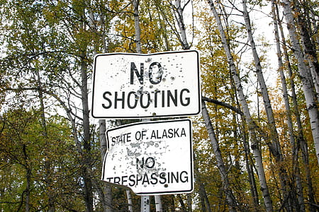white and black No Shooting signage in the middle of forest thumbnail