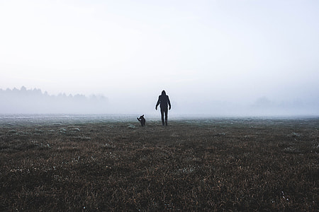 silhouette of man standing near fog thumbnail