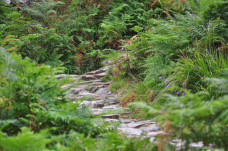 Scotland, Hidden Valley Ballachulish thumbnail