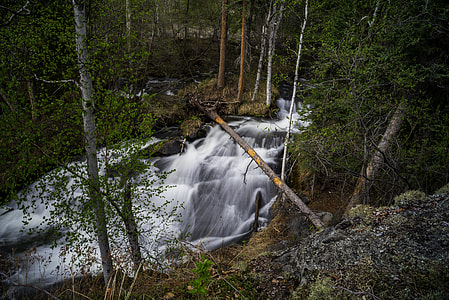 Trees and nature scenery of the smaller side of Cameron Falls thumbnail