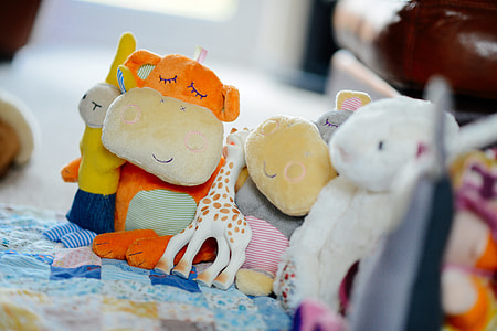 assorted plush toys on blue and brown textiles thumbnail