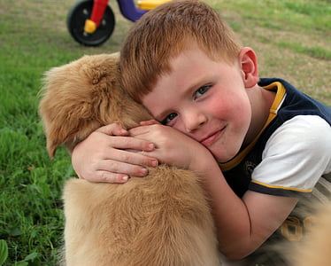 brown dog beside boy thumbnail