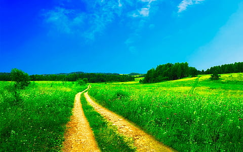 green grass field under blue sky during daytime thumbnail