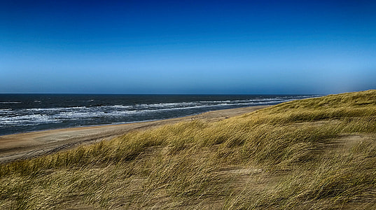 green grass field near ocean thumbnail