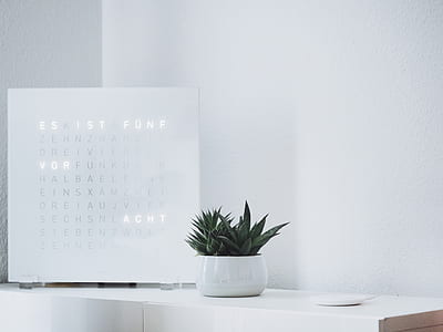 green leafed plant on white wooden desk thumbnail