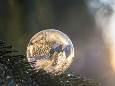 macro photography of round clear glass decoration thumbnail