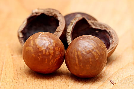 close up photo of round nuts thumbnail