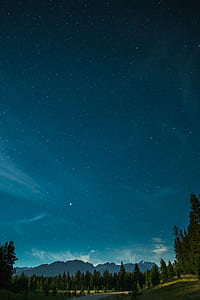 gray road surrounded by trees with clear sky thumbnail