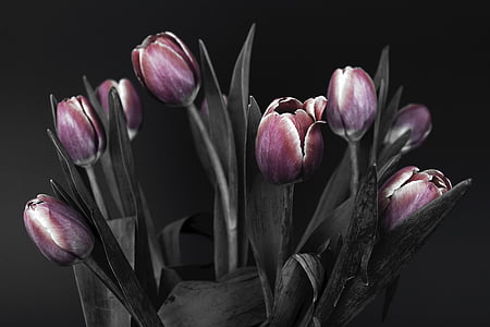 red and white tulip flower arrangement thumbnail