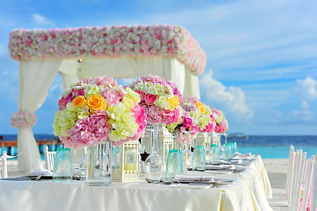 party setting near body of water under blue sunny cloudy sky thumbnail
