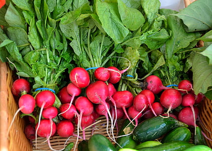 round red vegetable lot thumbnail
