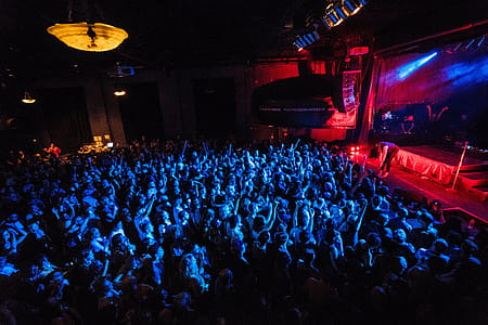 Musician Takes Bow Photo thumbnail