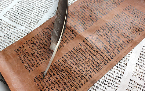feather on brown paper thumbnail