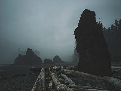 brown logs near big rock outside thumbnail