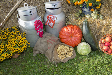 sack of potatoes thumbnail