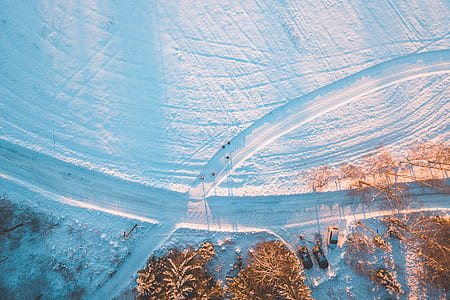aerial photography of brown trees thumbnail