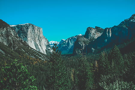 green leafed trees beside mountains thumbnail