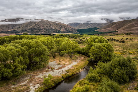 body of water between trees near mountain at daytime thumbnail