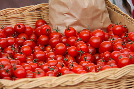 selective focus photography of basket of ripe cherry tomatoes thumbnail