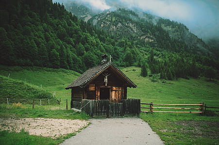 wood, landscape, field, trees thumbnail