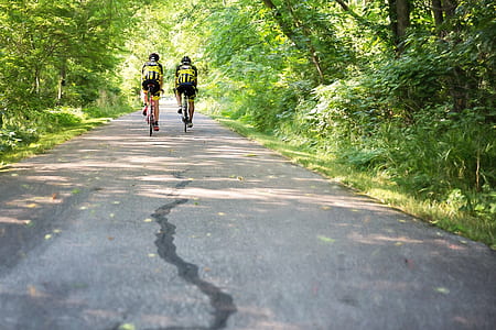 two persons riding bicycle on road between green leaf trees during daytime thumbnail
