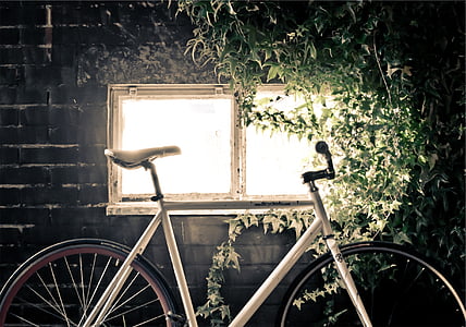 white road bike park near window with green plants thumbnail