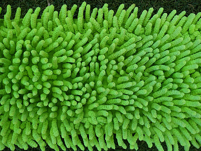tick pile green textile thumbnail