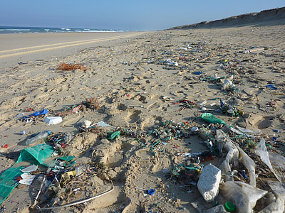 garbage on seashore thumbnail