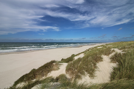 brown seashore under cloudy blue sky thumbnail