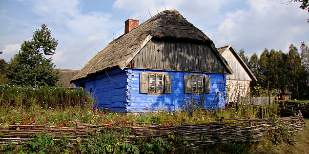 blue and gray house surrounded by trees thumbnail