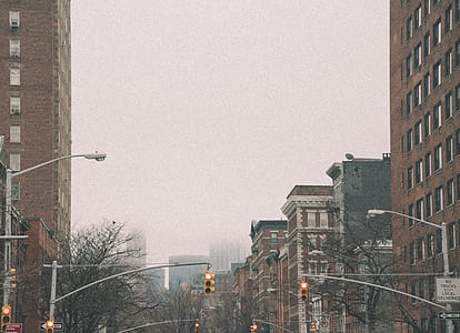 photo of houses near traffic lights thumbnail