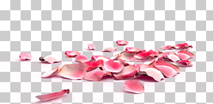 Rose Petal Nail Exfoliation Flower, Peach petals,festival,Flowers,Fall decoration,Pink Creative,Petals wedding, scattered pink rose petals PNG clipart