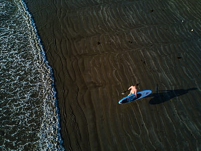 Person Holding Surfboard Near Seashore thumbnail