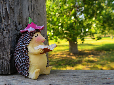 armadillo with book figurine placed near wood thumbnail