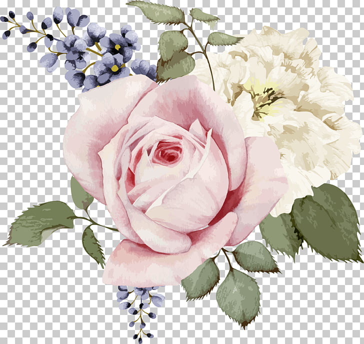 Rose Painting Stock illustration Flower, Pink rose and white rose watercolor hand painted flowers, pink, white, and blue flowers illustration PNG clipart