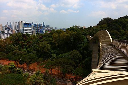 green trees and high rise buildings during daytime thumbnail