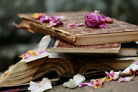 stacked books with purple flower petals thumbnail