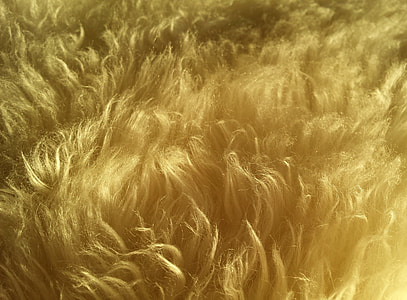 yellow textile thumbnail