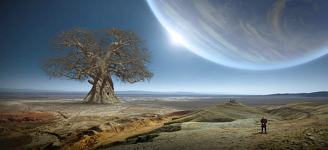 bare tree near person standing thumbnail