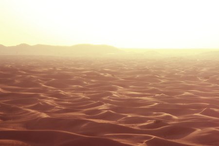 photo of golden hour on desert thumbnail
