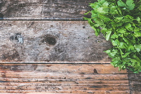 green leaf plant on brown wooden board thumbnail