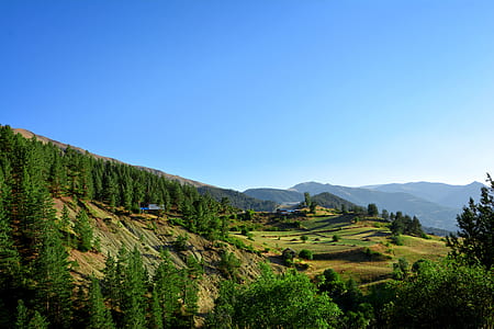 green grass and trees covered mountain range thumbnail