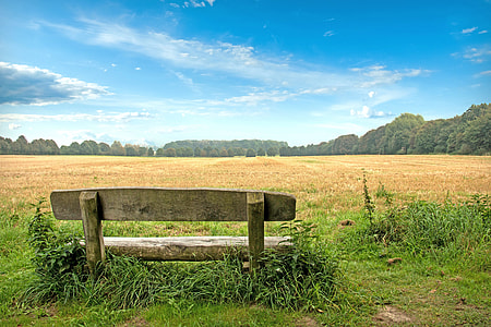 brown bench in front of brown field under blue calm sky thumbnail