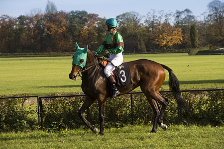 person riding on brown horse thumbnail